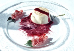 Panna-cotta