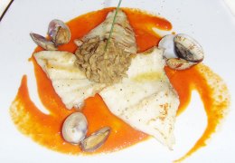 filetto-di-rombo_steinbutt